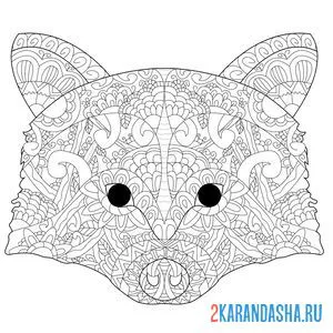 Раскраска антистресс енот животное