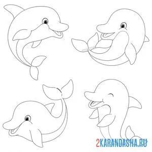 Раскраска 4 друга дельфина