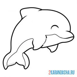 Раскраска красавец дельфин