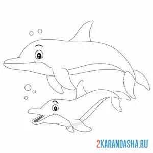 Раскраска мама и дельфиненок