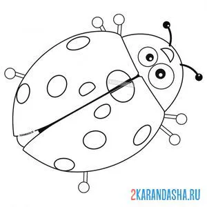 Раскраска жук божья коровка