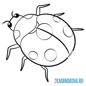 Раскраска как настоящая божья коровка