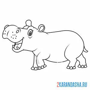 Раскраска пузатенький бегемот
