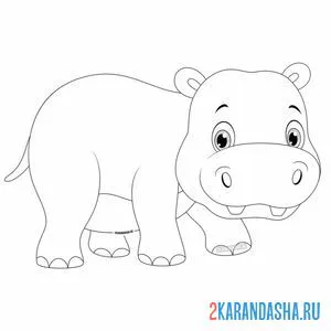 Раскраска чистенький малыш бегемотик