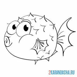 Раскраска еж морской