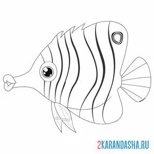 Раскраска масковая бабочка рыба