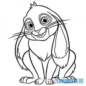Раскраска кролик клевер