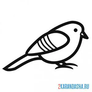 Раскраска птичка простая