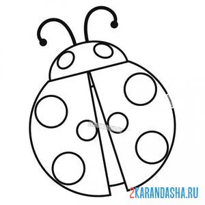 Раскраска простой рисунок божья коровка