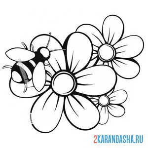 Раскраска цветы со шмелем