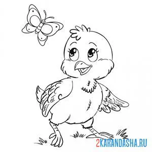 Раскраска цыпленок и бабочка