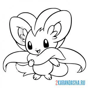 Раскраска шиншино (cinccino)