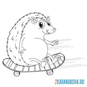 Раскраска ежик на скейтборде