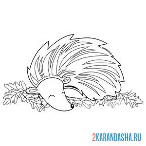 Раскраска ежик спит на листочках