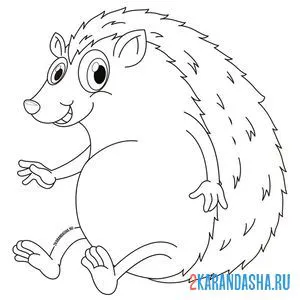 Раскраска пузатенький ежик