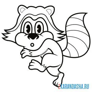 Раскраска енот крадется на цыпочках
