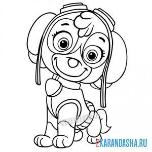 Раскраска скай сидит смирно
