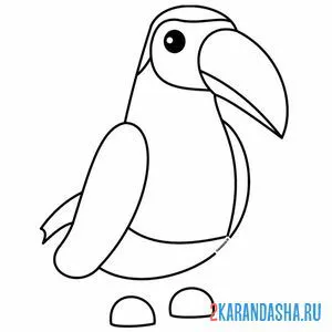 Раскраска адопт ми пет птица тукан