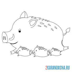 Раскраска папа кабан и три кабанчика