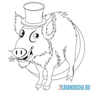 Раскраска кабан в шляпе