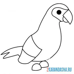 Раскраска адопт ми пет попугай