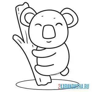Раскраска пушистая коала