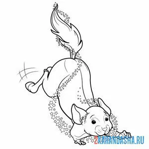 Раскраска волшебная мышка