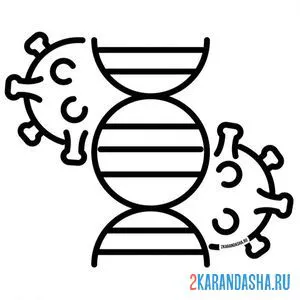 Раскраска геном