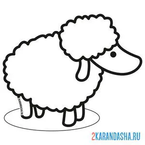 Раскраска профиль овечки
