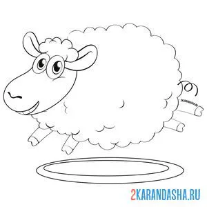 Раскраска блеющая овца