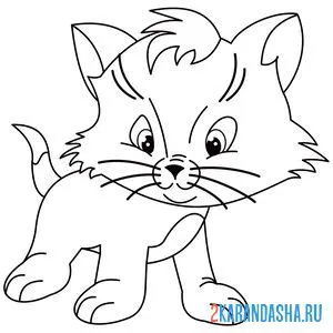 Раскраска усатый котенок
