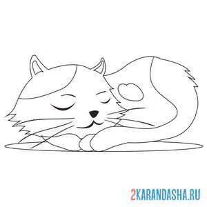 Раскраска кот спит
