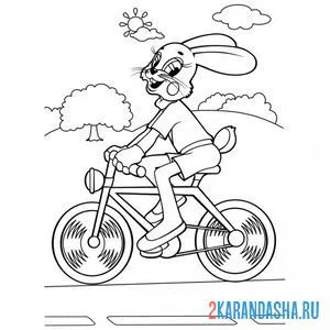 Раскраска заяц на велосипеде