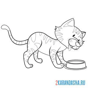 Раскраска кот у миски