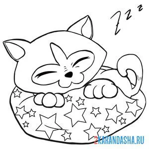 Раскраска котенок спит