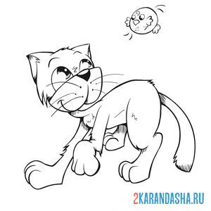 Раскраска кот смотрит на птичку