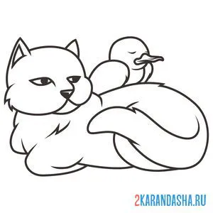 Раскраска ухоженная кошечка