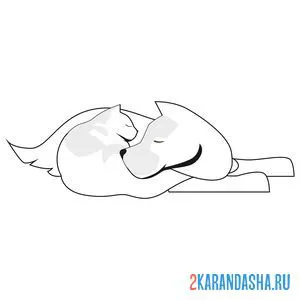Раскраска кот и собака