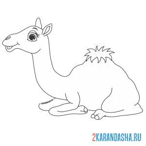 Раскраска верблюд лежит довольный