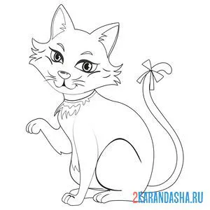 Раскраска красивая кошечка