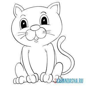 котик