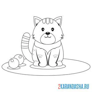 Раскраска кот хочет играть