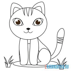 Раскраска спокойный кот