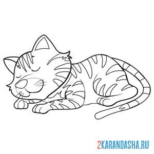 кот уснул