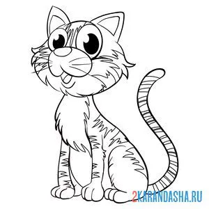 Раскраска ушастый кот