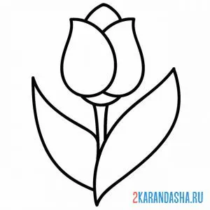 Раскраска красивый тюльпан