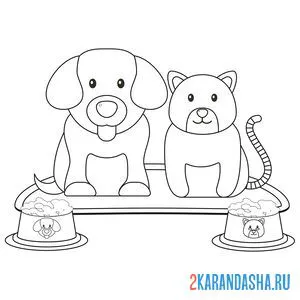 Раскраска собака и кот рядом с мисками