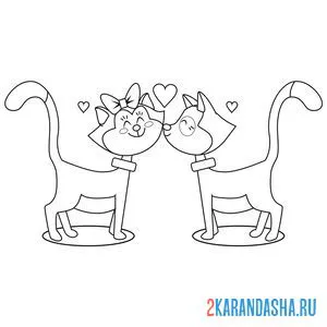 кошечка и котик влюблены