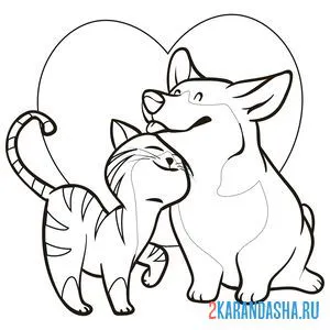 Раскраска любовь между кошечкой и собакой