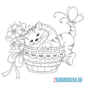 Раскраска котенок в корзинке